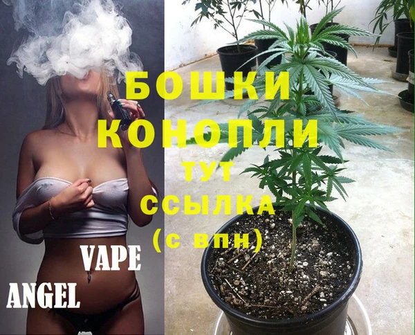 стаф Заволжье