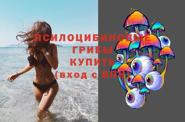 стаф Заволжье