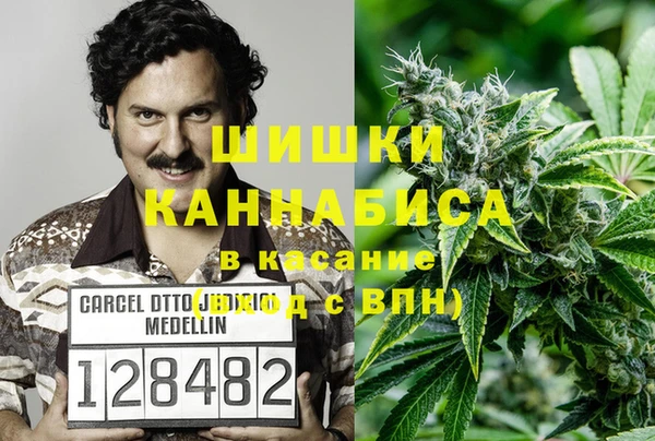 стаф Заволжье