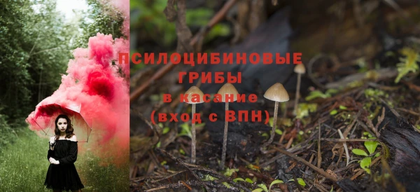 альфа пвп Заволжск